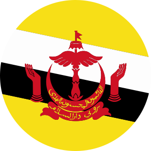 international flag of Brunei