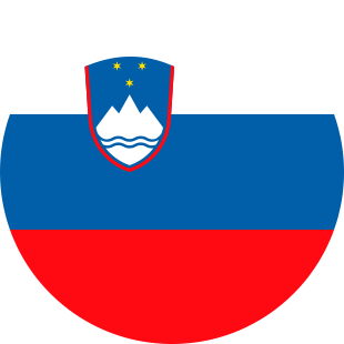 international flag of Slovenia