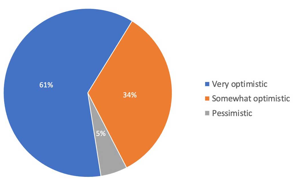61% very optimistic, 34% somewhat optimistic, 5% pessimistic