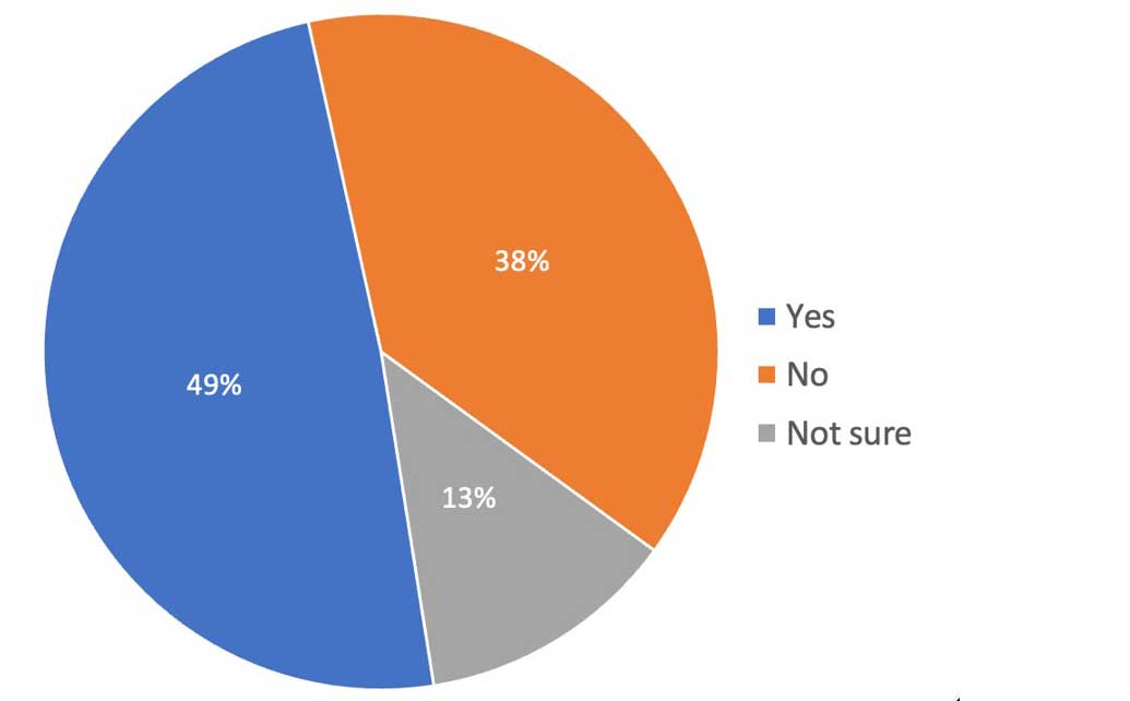 49% yes, 38% no, 13% not sure